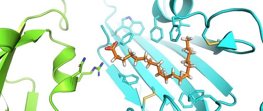 Το πανεπιστήμιο του Μπρίστολ λέει πως ανακάλυψε την «Αχίλλειο πτέρνα» του κορωνοϊού