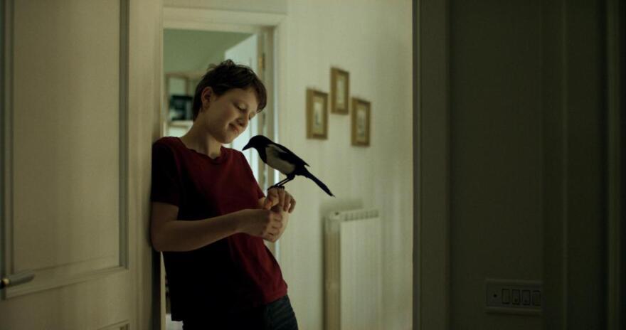 «Η τυραννία της οικειότητας» εμπνέει τις ταινίες του Φεστιβάλ Κινηματογράφου Θεσσαλονίκης