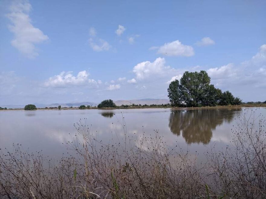 Καρδίτσα: Ανυπολόγιστες οι ζημιές στις καλλιέργειες στον Παλαμά - Σε «αδιέξοδο» οι αγρότες