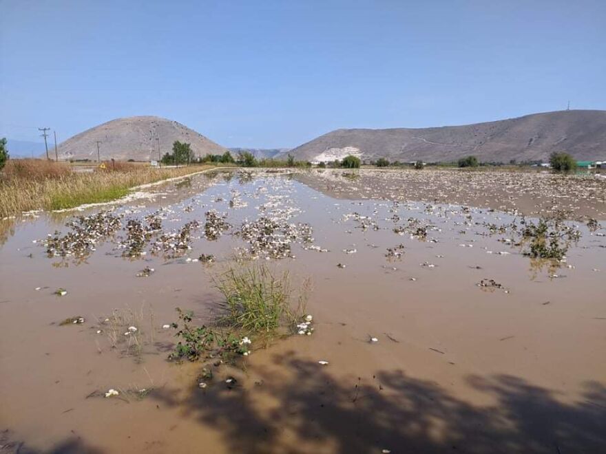 Καρδίτσα: Ανυπολόγιστες οι ζημιές στις καλλιέργειες στον Παλαμά - Σε «αδιέξοδο» οι αγρότες
