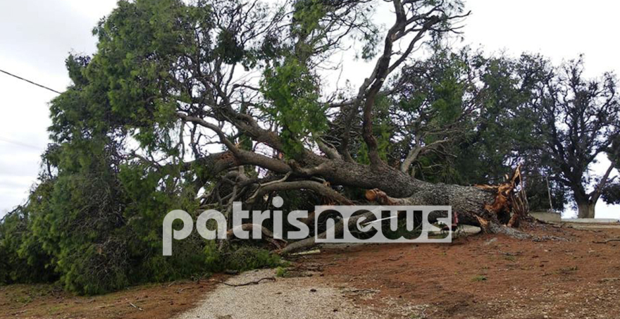 Ηλεία: Απίστευτες καταστροφές και τραυματισμοί κατοίκων - «Έχουμε να δούμε κάτι τέτοιο τα τελευταία 30 χρόνια»