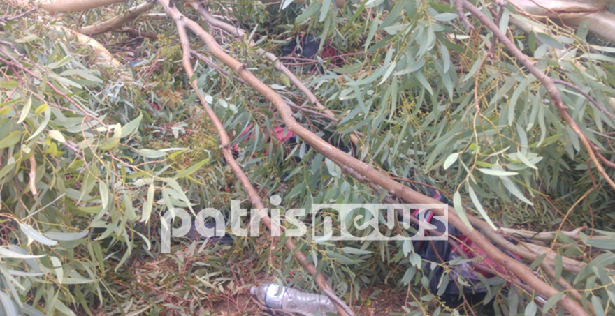 Ηλεία: Απίστευτες καταστροφές και τραυματισμοί κατοίκων - «Έχουμε να δούμε κάτι τέτοιο τα τελευταία 30 χρόνια»