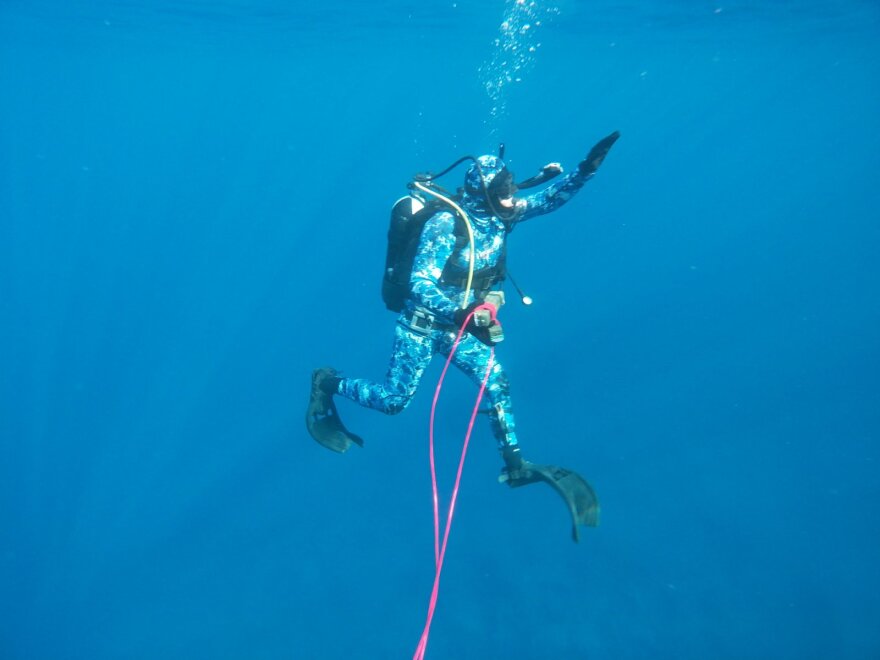 Εξουδετέρωση γερμανικής νάρκης μέσα στη θάλασσα στη Λακωνία – Δείτε βίντεο 