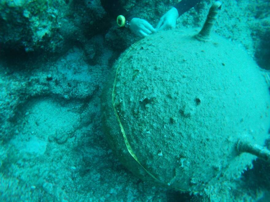 Εξουδετέρωση γερμανικής νάρκης μέσα στη θάλασσα στη Λακωνία – Δείτε βίντεο 