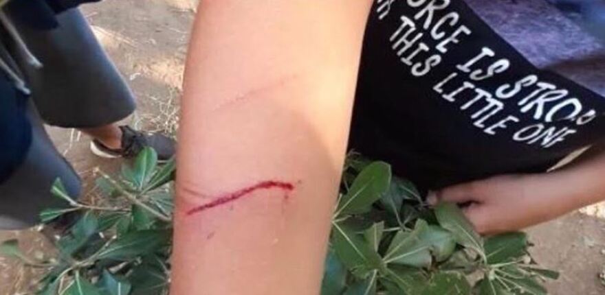 Γυμνάσιο Αλίμου: Χαμός με γονείς που προσπάθησαν να σπάσουν κατάληψη στο σχολείο - Φωτογραφίες