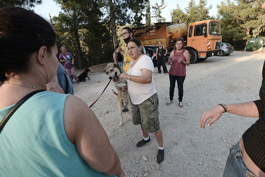 Φωτιά στον Βύρωνα: Απειλήθηκε το καταφύγιο αδέσποτων ζώων - Συγκινητική η ανταπόκριση του κόσμου - Φωτογραφίες