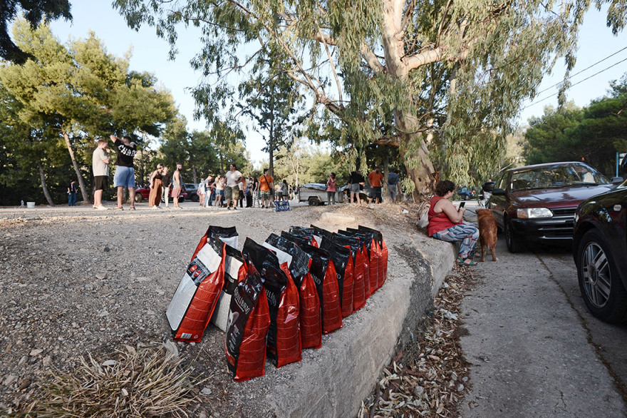 Φωτιά στον Βύρωνα: Απειλήθηκε το καταφύγιο αδέσποτων ζώων - Συγκινητική η ανταπόκριση του κόσμου - Φωτογραφίες
