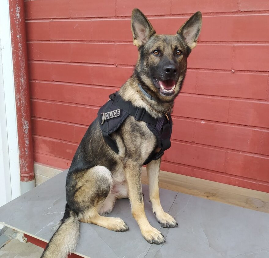 Βέροια: Ο «Vector» ξετρύπωσε ηρωίνη και κοκαΐνη σε δυο σπίτια