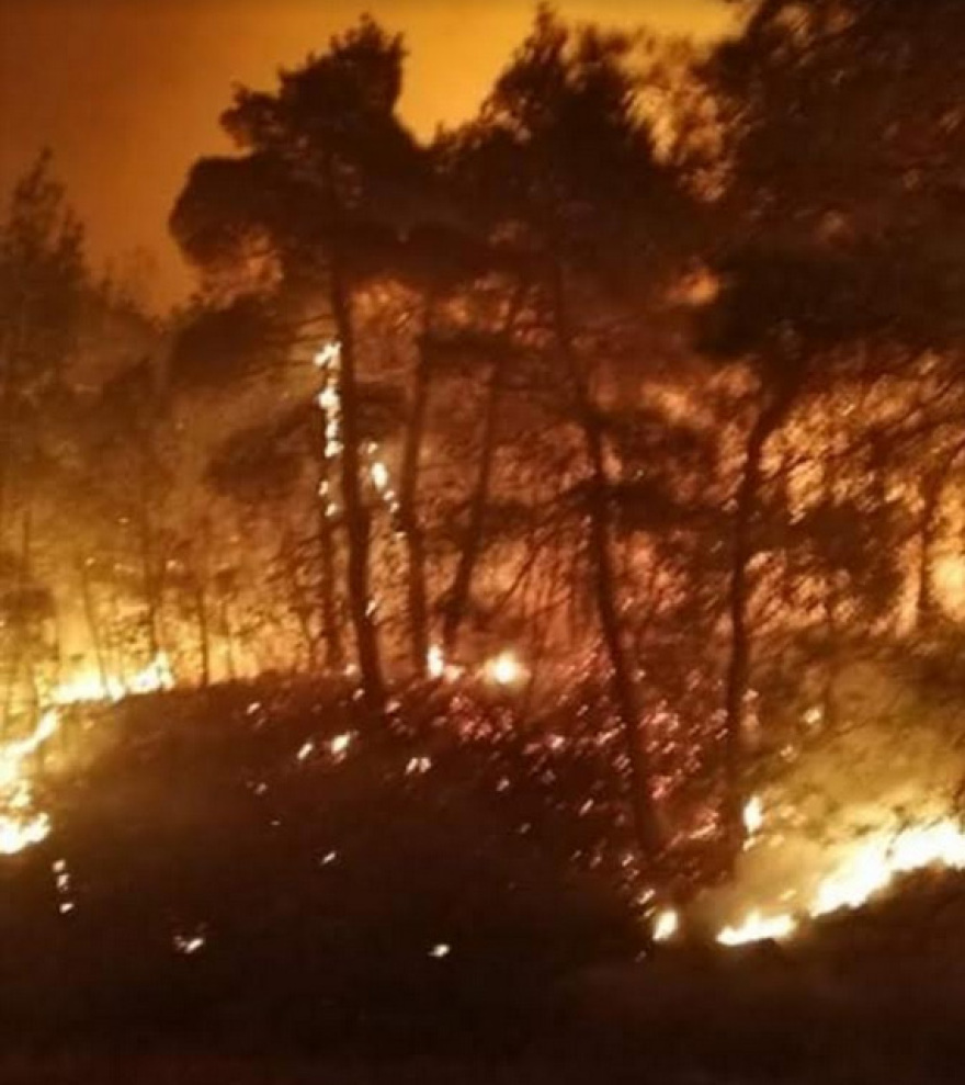 Φωτιά στον Έβρο: Στο δάσος της Δαδιάς οι φλόγες