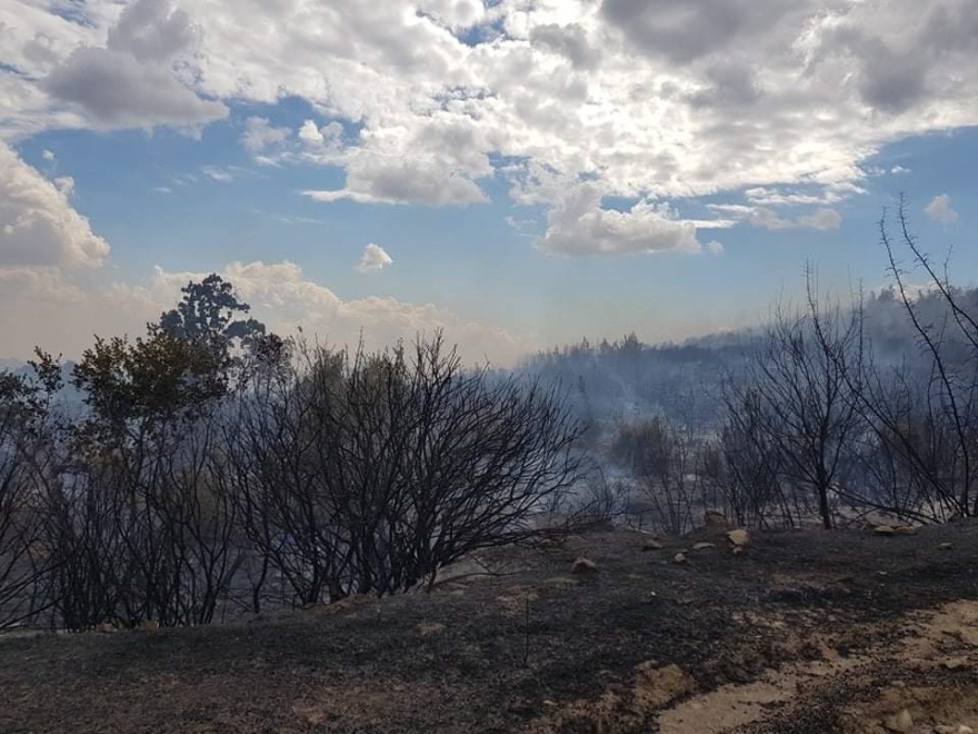 Φωτιά στον Έβρο: Στο δάσος της Δαδιάς οι φλόγες