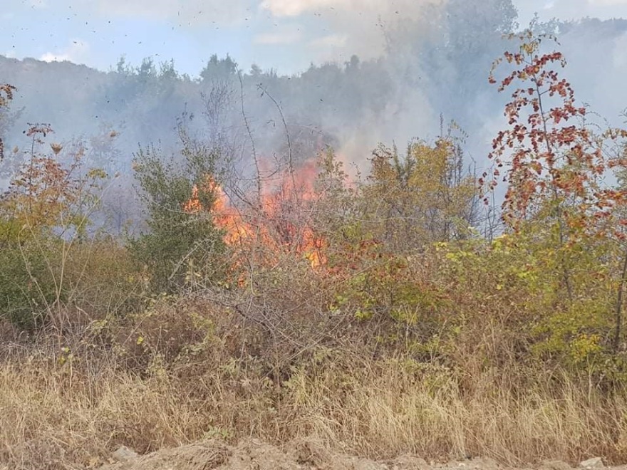 Φωτιά στον Έβρο: Στο δάσος της Δαδιάς οι φλόγες