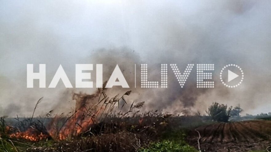 Υπό έλεγχο η μεγάλη φωτιά στη Μανωλάδα  