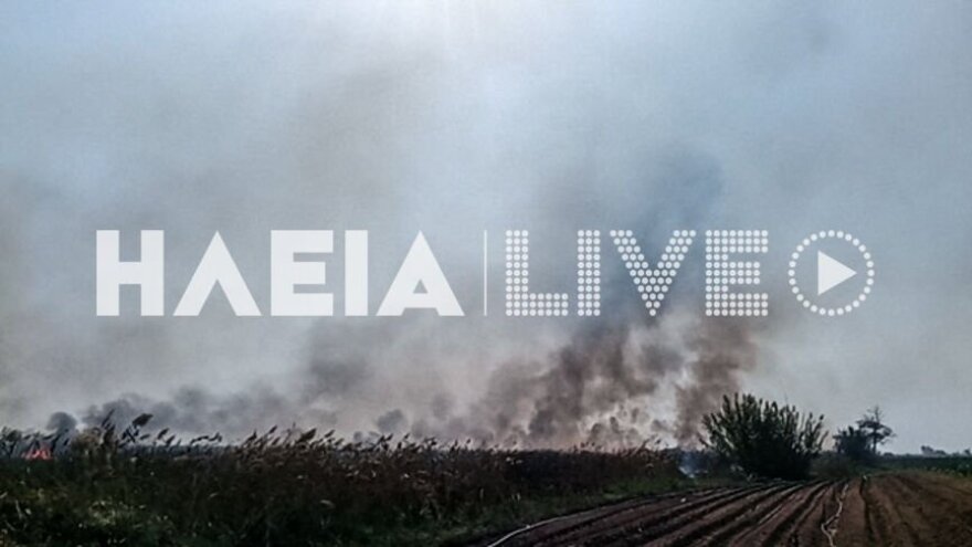 Υπό έλεγχο η μεγάλη φωτιά στη Μανωλάδα  