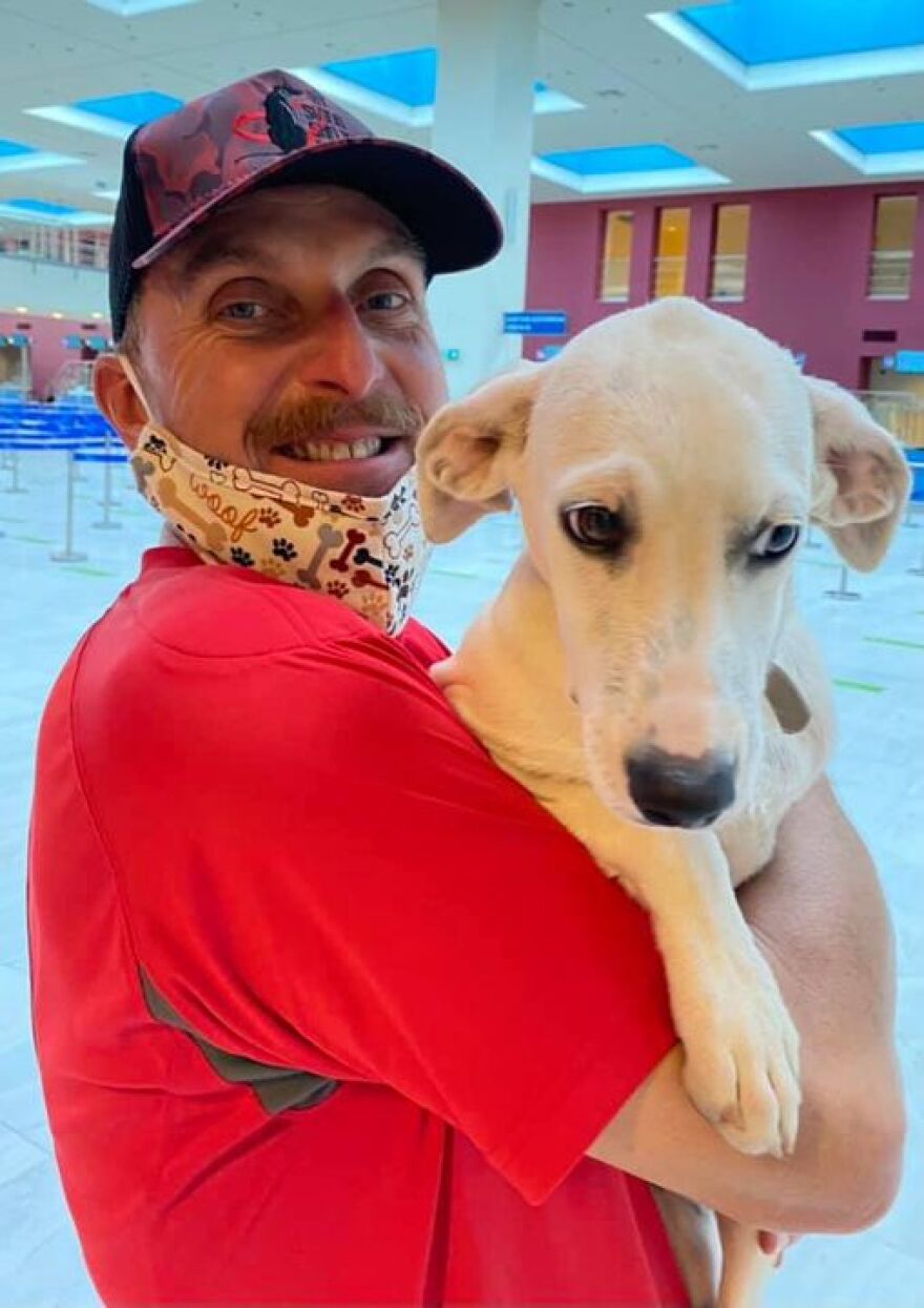 Χανιά: Οργή για τον βασανιστή του σκύλου, θαυμασμός για τον κτηνίατρο που το έσωσε