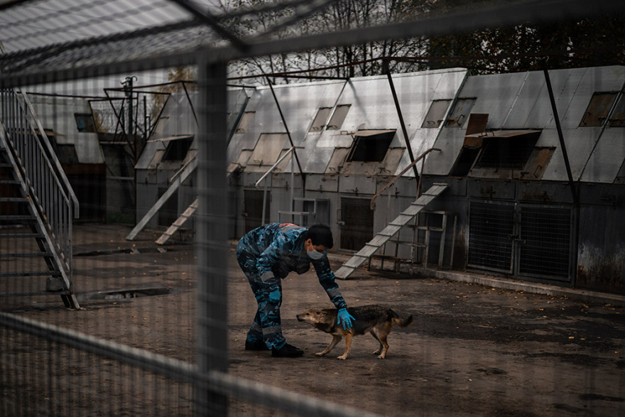 Κορωνοϊός: Σκύλοι εκπαιδεύονται για να ανιχνεύουν τον ιό - Δείτε φωτογραφίες
