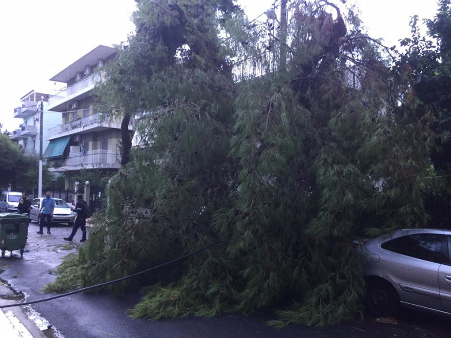 Κακοκαιρία: Καταστροφές και πτώσεις δέντρων στο Νέο Ηράκλειο - Δείτε βίντεο