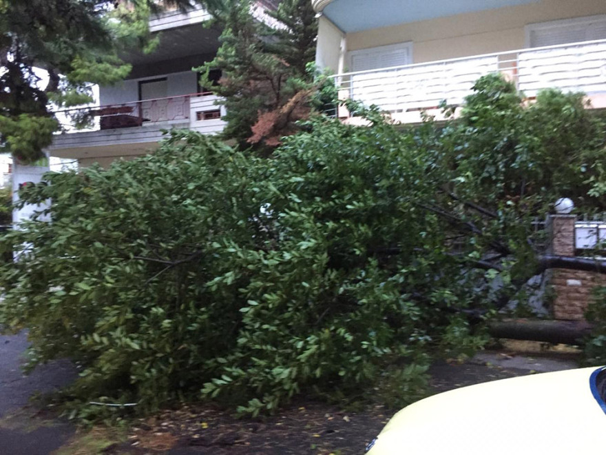 Κακοκαιρία: Καταστροφές και πτώσεις δέντρων στο Νέο Ηράκλειο - Δείτε βίντεο