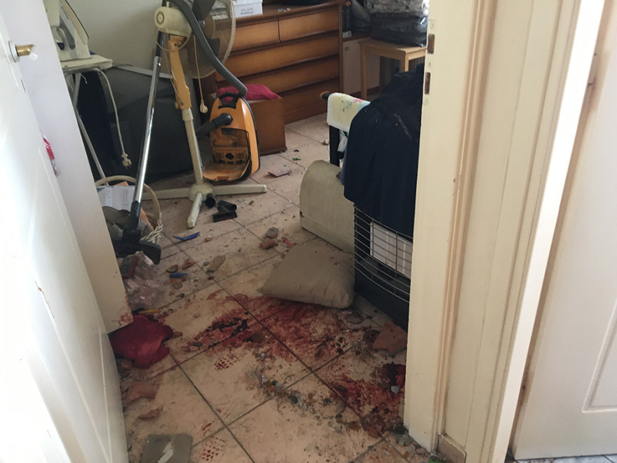 Κακοκαιρία στο Νέο Ηράκλειο: Πέταξε μέχρι και... σκυλί από τους σφοδρούς ανέμους