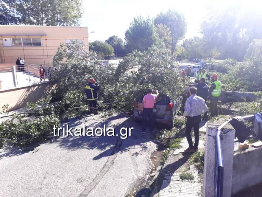 Κακοκαιρία - Τρίκαλα: Ξεριζώθηκαν μεγάλα δέντρα και καταπλάκωσαν αυτοκίνητα! - Δείτε βίντεο