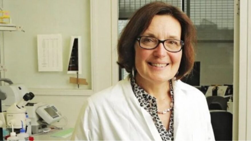 Δολοφονία Σούζαν Ίτον: Ξεκίνησε η δίκη - Δέχομαι την κατηγορία, είπε ο 28χρονος