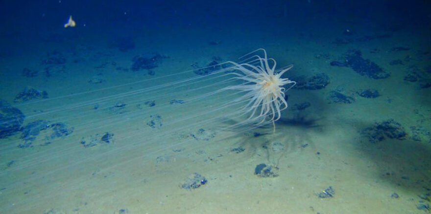 Ραγδαία η μεταβολή του κλίματος: Αυξάνεται πιο γρήγορα η θερμοκρασία στον «σκοτεινό» ωκεανό