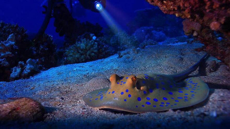 Ραγδαία η μεταβολή του κλίματος: Αυξάνεται πιο γρήγορα η θερμοκρασία στον «σκοτεινό» ωκεανό