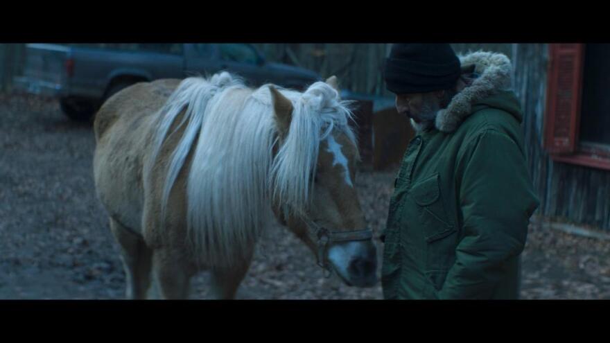 Φεστιβάλ Κινηματογράφου Θεσσαλονίκης: Αυτές είναι οι ελληνικές ταινίες που θα φιλοξενήσει 