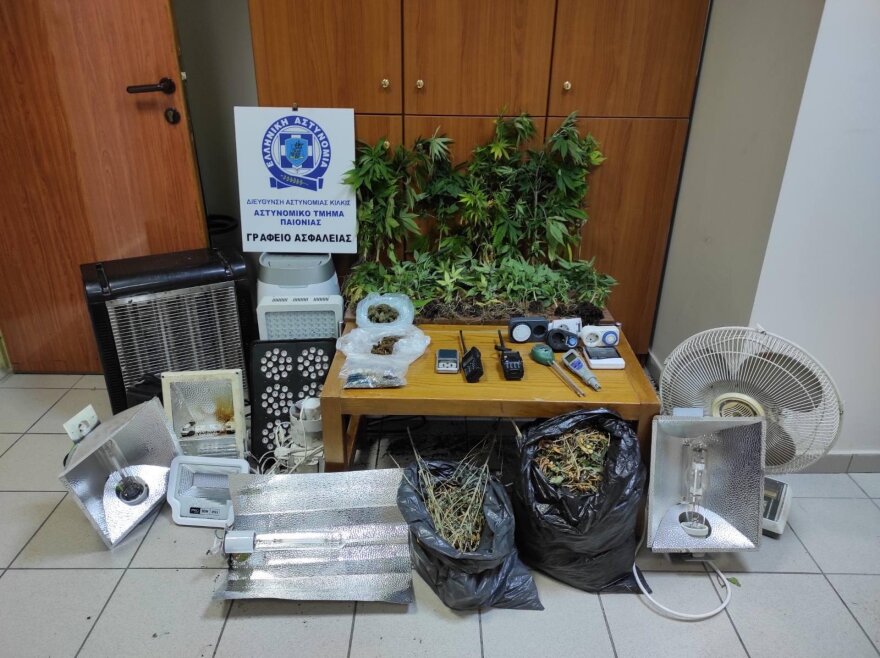 Δύο υδροπονικές καλλιέργειες κάνναβης στη Μακεδονία