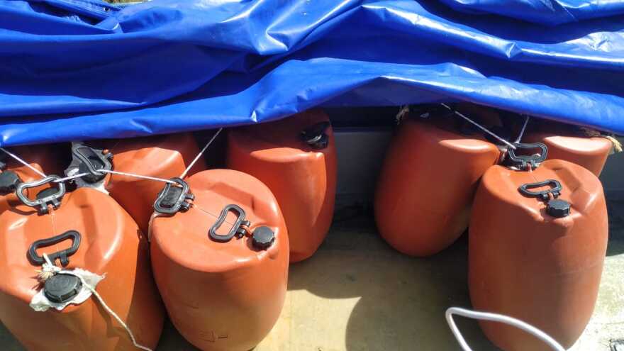 Στην Τουρκία ήθελαν να περάσουν τον 1 τόνο κάνναβης τα μέλη της αλβανικής μαφίας