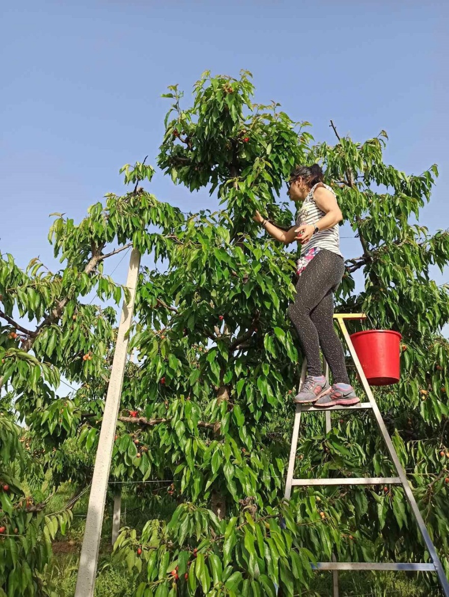 Θεσσαλονίκη: Πτυχιούχος πληροφορικής έκανε αναστροφή πορείας κι έγινε αγρότισσα