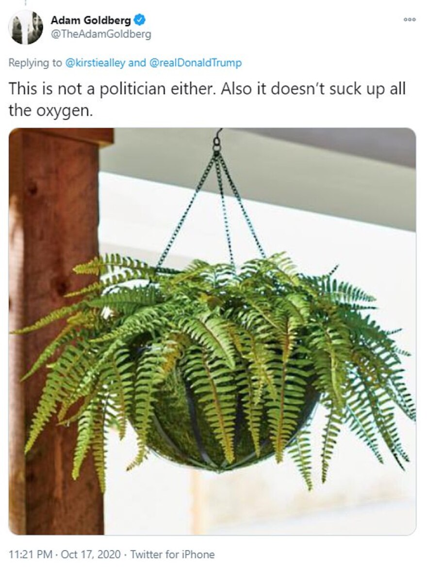 Εκλογές στις ΗΠΑ: Η Κίρστι Άλεϊ είπε «θα ψηφίσω τον Τραμπ» και έγινε χαμός