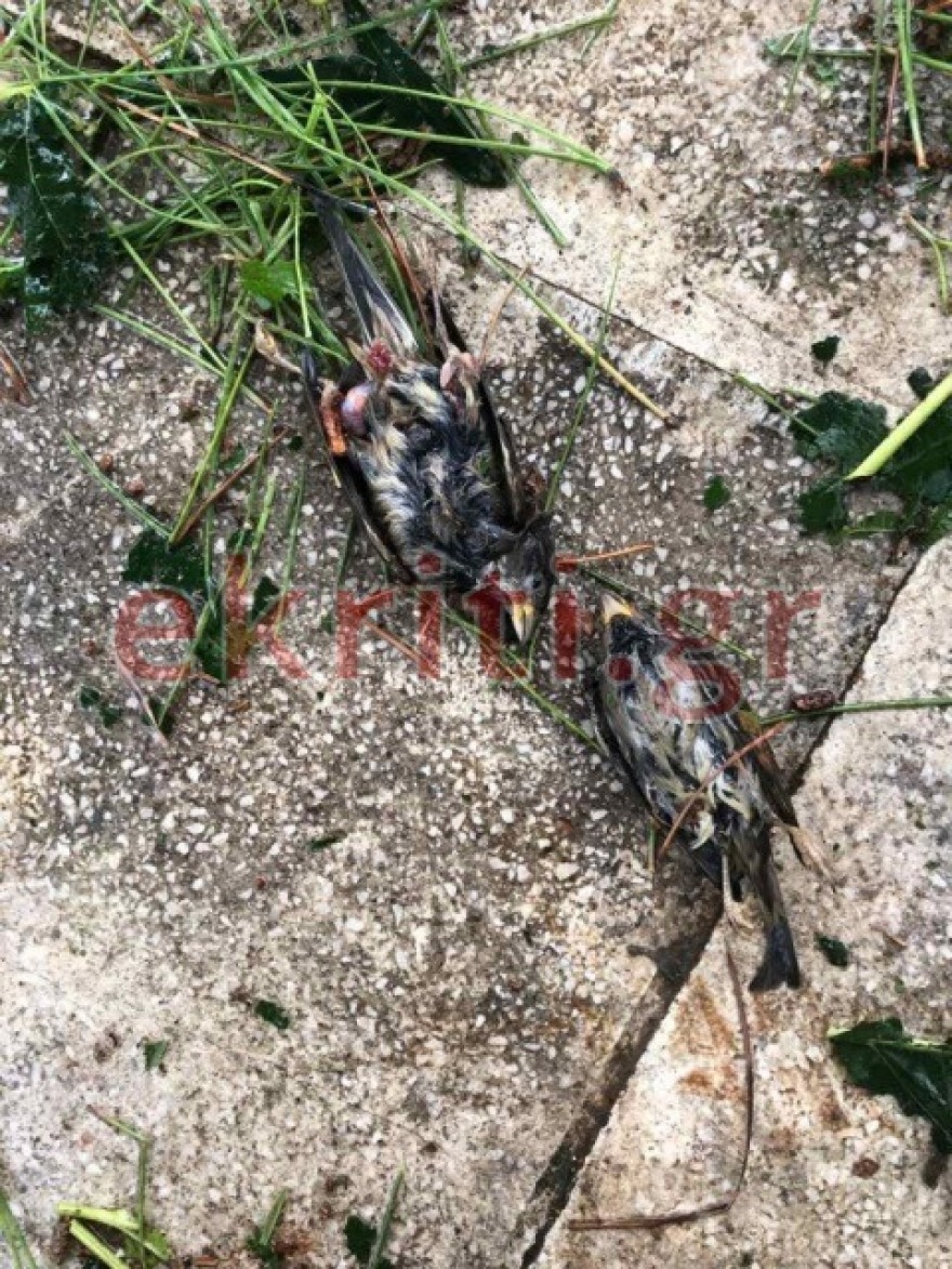 Καιρός: Κακοκαιρία σε Κρήτη, δυτικές Κυκλάδες - Βίντεο και χάρτες 