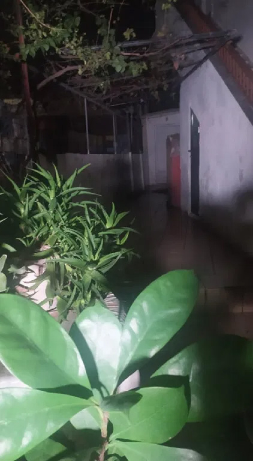 Άνδρας αλβανικής καταγωγής αναζητείται για τη διπλή δολοφονία στα Χανιά