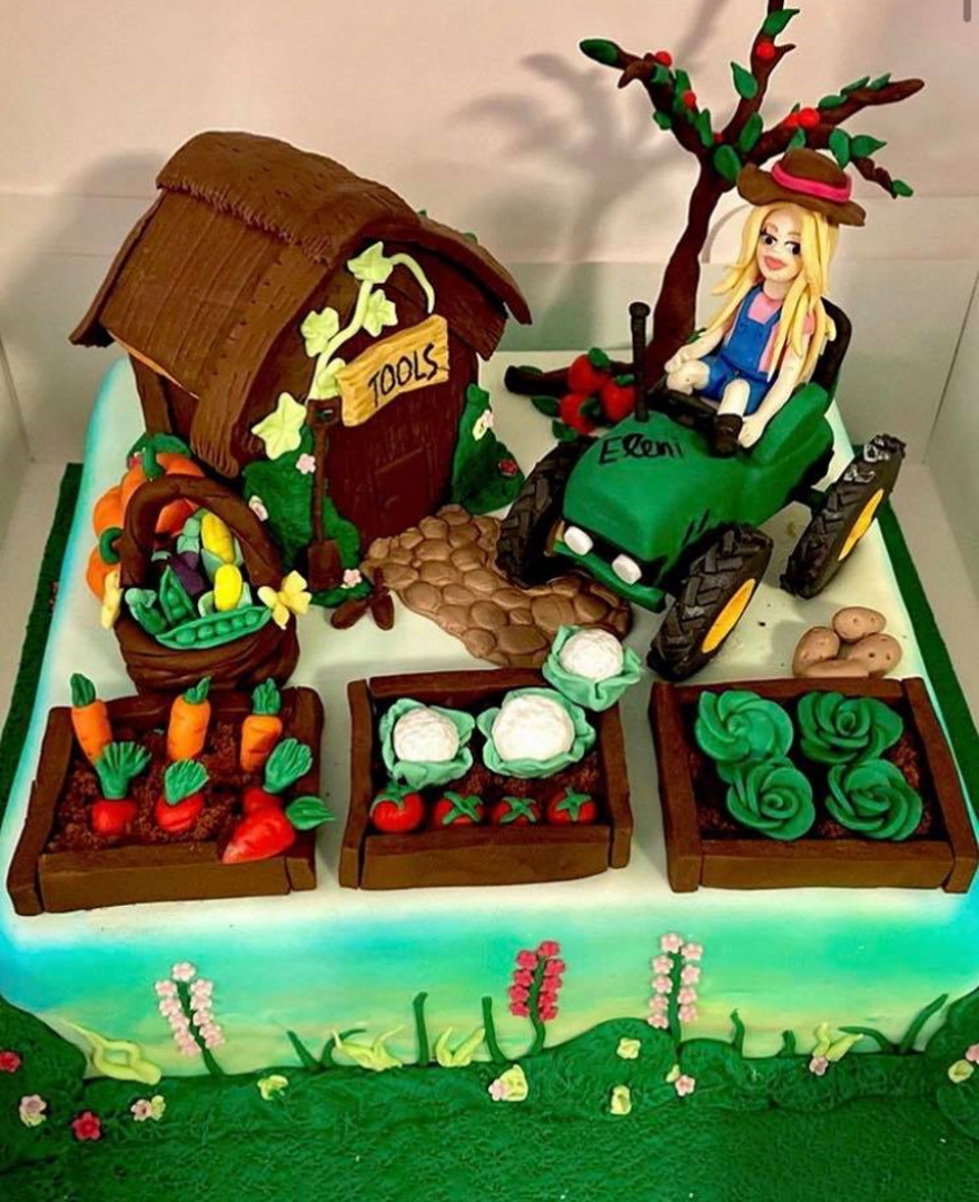 Ελένη Μενεγάκη: Η εμπνευσμένη γενέθλια τούρτα και το «ευχαριστώ» 