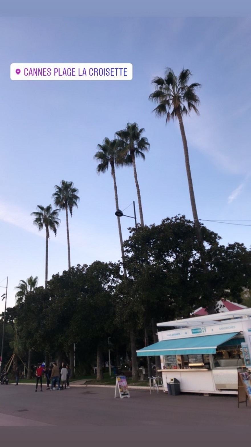 Αργύρης Πανταζάρας - Έλλη Τρίγγου: Από τις «Άγριες Μέλισσες»… μαζί και στις Κάννες