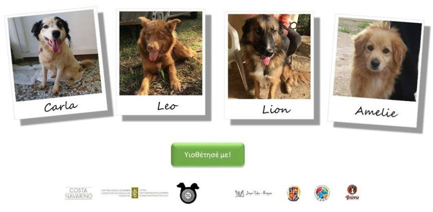 «Όταν υιοθετείς ένα αδέσποτο αλλάζεις δύο ζωές: τη δική του και τη δική σου»