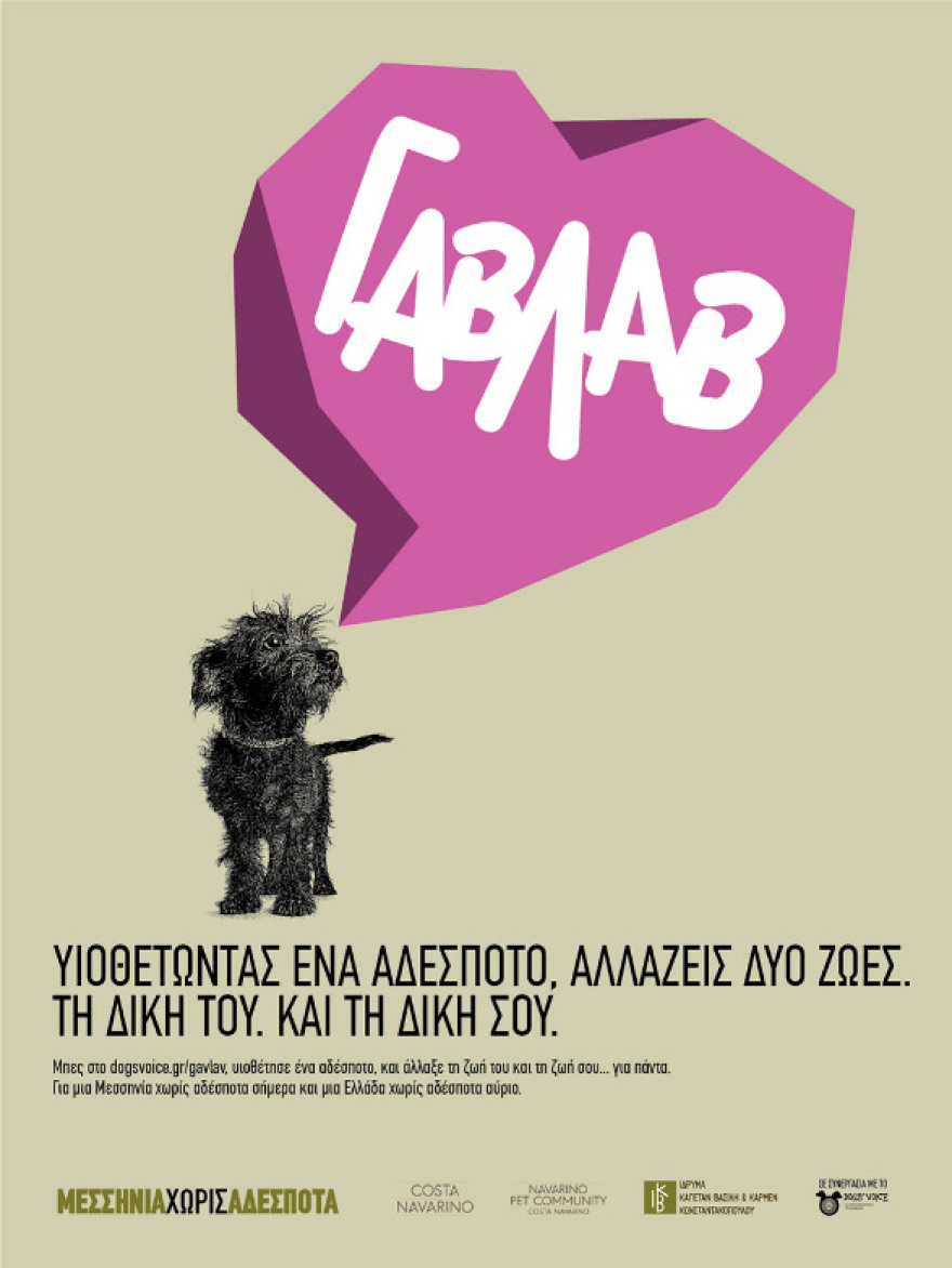 «Όταν υιοθετείς ένα αδέσποτο αλλάζεις δύο ζωές: τη δική του και τη δική σου»