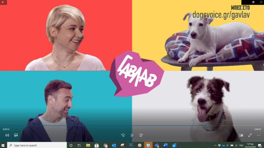 «Όταν υιοθετείς ένα αδέσποτο αλλάζεις δύο ζωές: τη δική του και τη δική σου»