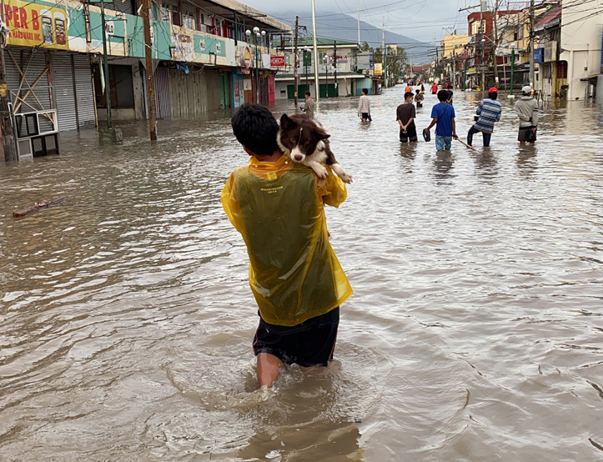 Φιλιππίνες: Σαρωτικό το πέρασμα του τυφώνα «Γκόνι» - Τουλάχιστον τέσσερις νεκροί 
