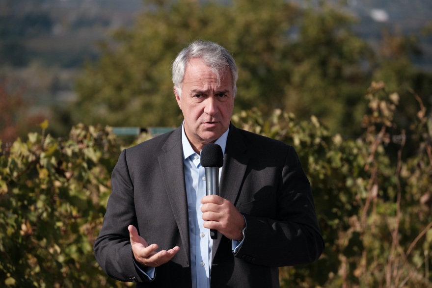 Θανατώνονται λόγω κορωνοϊού 2.500 μινκ στην Κοζάνη