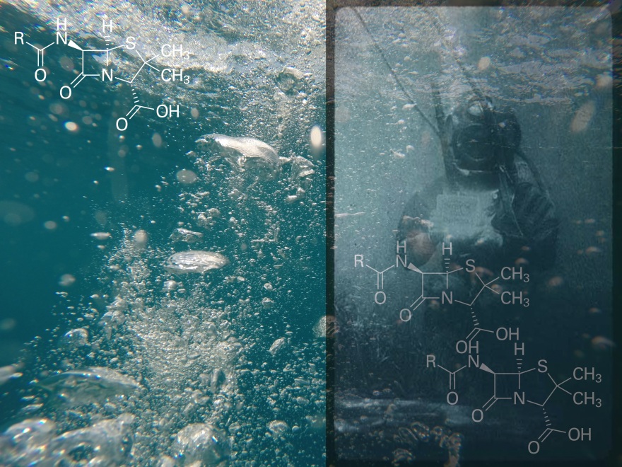 Διαδικτυακή έκθεση για την σχέση ανθρώπου - ψηφιακού κόσμου από την Στέγη του Ιδρύματος Ωνάση