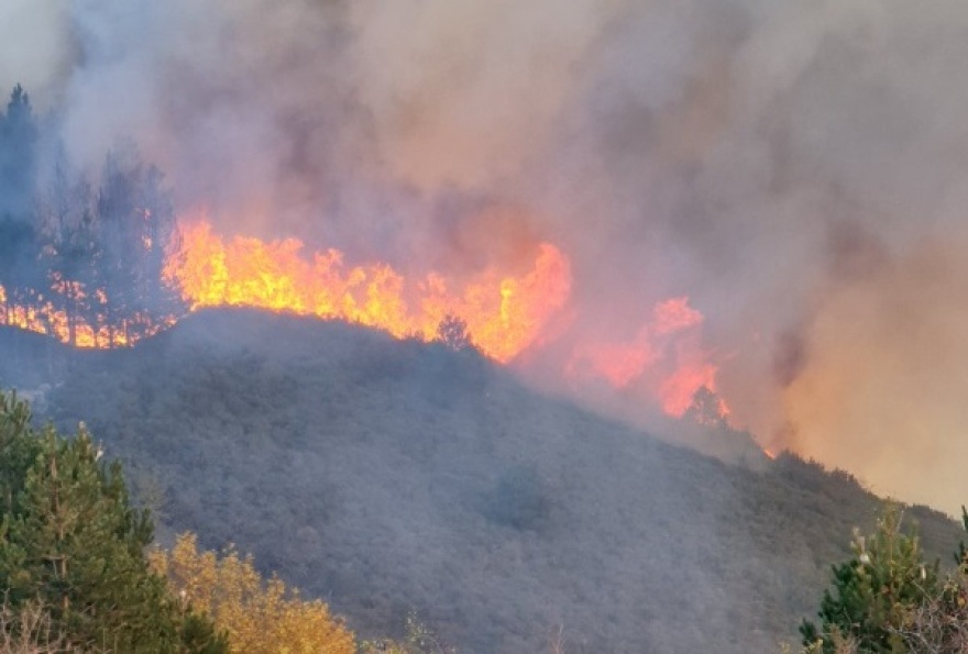 Φωτιές: Πάνω από 1.000 πυροσβέστες στη μάχη με τις φλόγες - Σε Ηλεία και Αρκαδία τα πιο ανησυχητικά μέτωπα