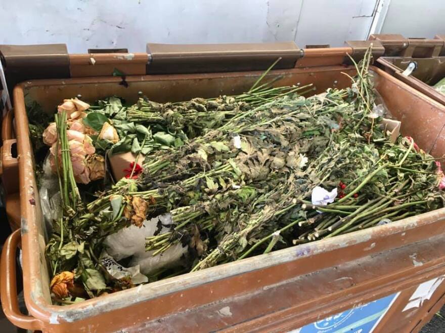 Lockdown - Κορωνοϊός: Σε απόγνωση οι ανθοπώλες και ανθοπαραγωγοί - «Βιώνουμε ξανά την καταστροφή»