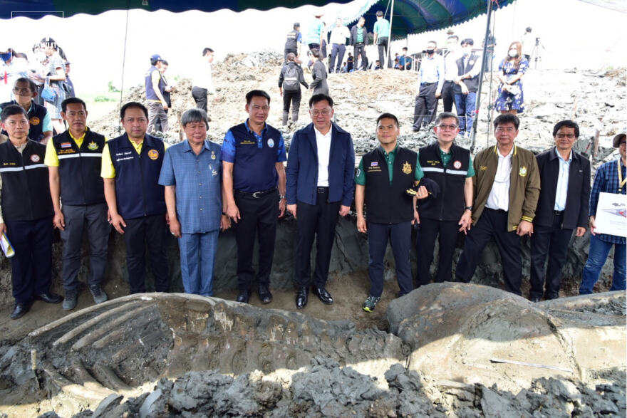 Σημαντική ανακάλυψη στην Ταϊλάνδη: Βρήκαν 12 χλμ από την ακτή σκελετό φάλαινας 5.000 χρόνων (φωτο)