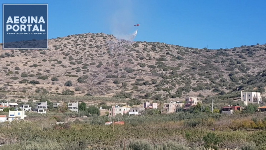 Πυρκαγιά στον Μαραθώνα Αίγινας - Δεν κινδύνευσε κατοικημένη περιοχή
