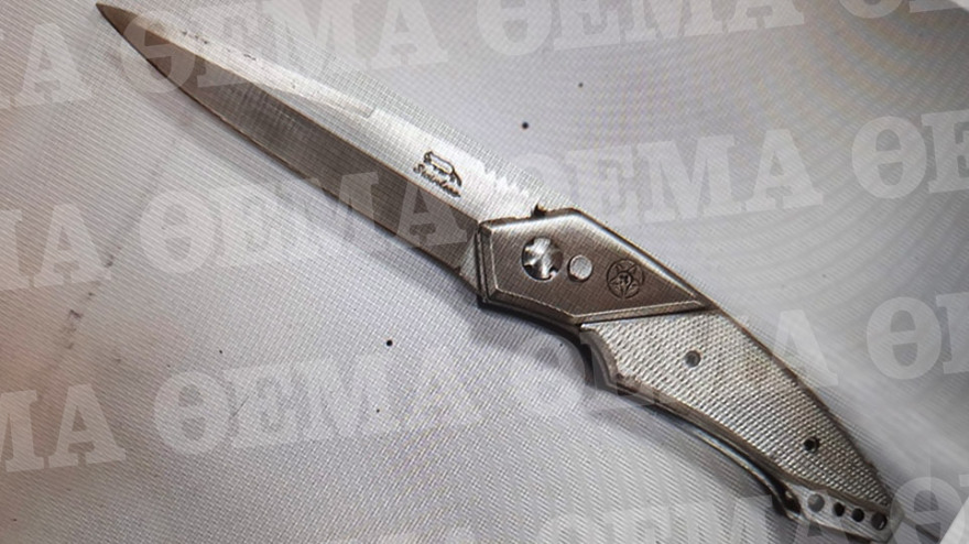 Έγκλημα στις Σπέτσες: Σε κατάσταση σοκ οδηγήθηκε στον Κορυδαλλό ο 22χρονος γιος του καθηγητή