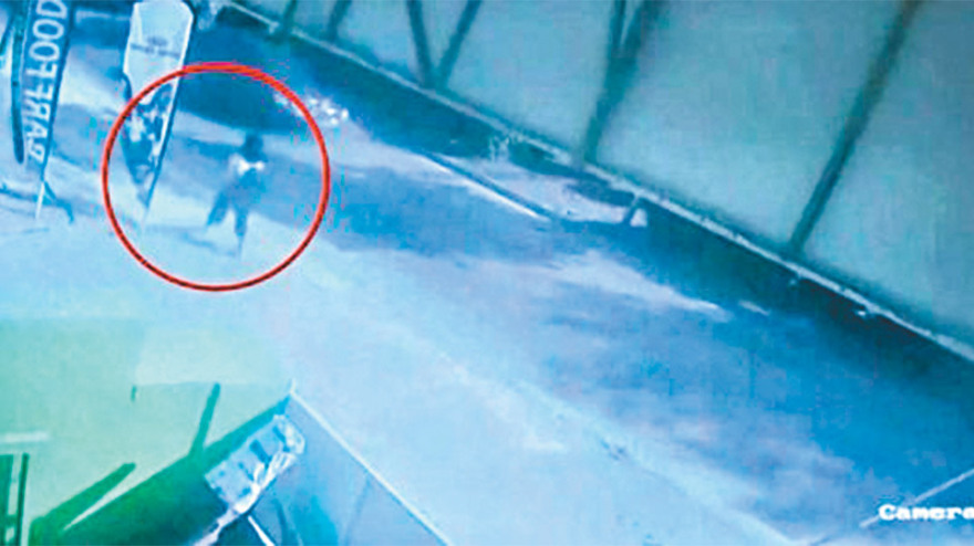 Θρίλερ στο Κορωπί: Ποιος οργάνωσε την «τέλεια εξαφάνιση» της Άρτεμης