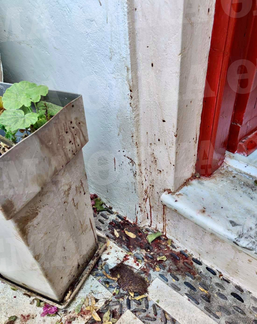 Έγκλημα στη Σαντορίνη: Στην εισαγγελία Νάξου αύριο ο 20χρονος δράστης - Τι θα υποστηρίξει