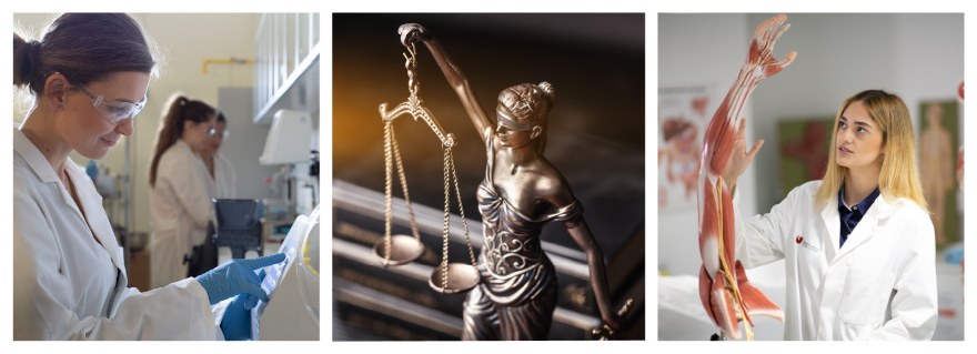 Γιατί το Πανεπιστήμιο Λευκωσίας είναι η ιδανική επιλογή για σπουδές εκτός Ελλάδος 