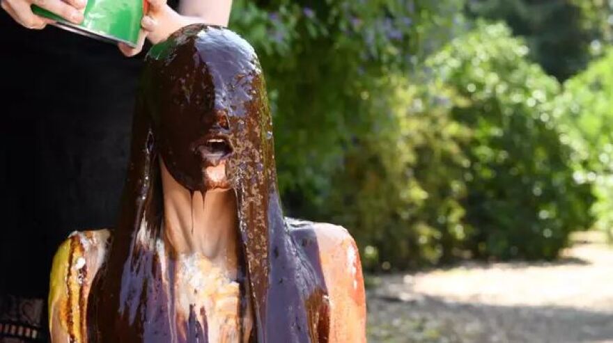 Το ζευγάρι που κάνει πορνό κατά παραγγελία - Μύγες, σκούπες και... μπάρμπεκιου σος στα αιτήματα του κοινού! 